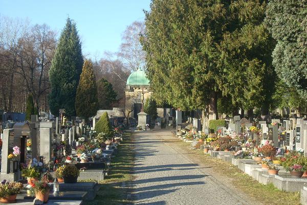 K�� na Ruprechtick�m h�bitov�