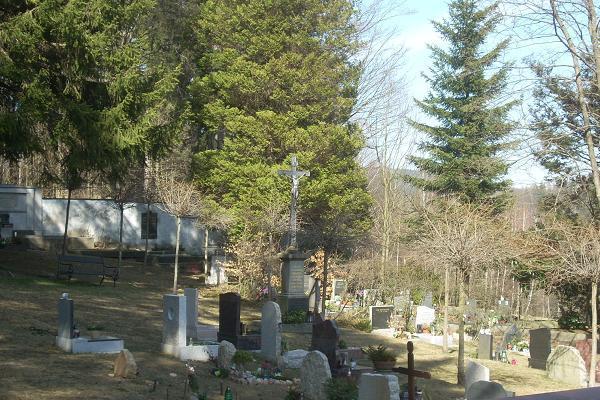 K�� na h�bitov� u �esk� Chalupy