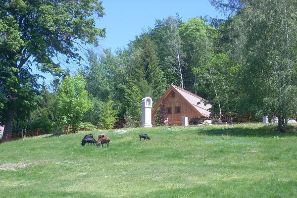 K�� na rozcest�