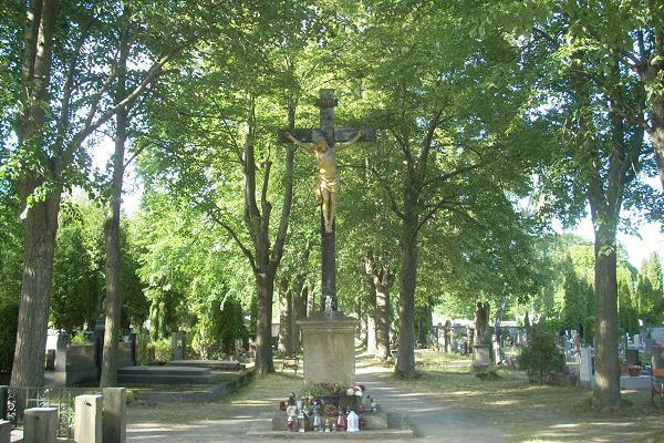 K�� na h�bitov� ve Vratislavic�ch