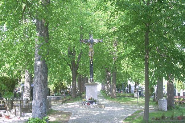 K�� na h�bitov� ve Vratislavic�ch