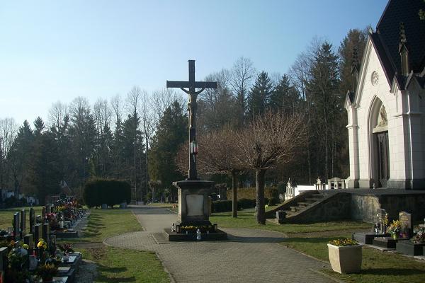 K�� na h�bitov� ve Str�i