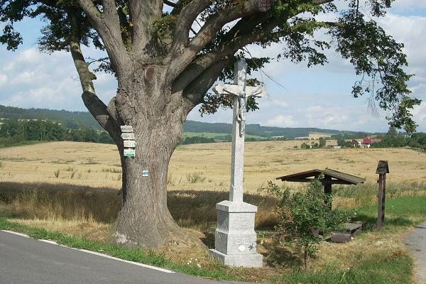 k�� v Ji�n�ch �ech�ch