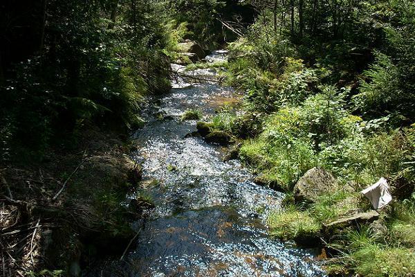 �ern� Nisa - �eka