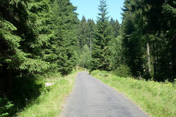 Cesta k �ern� Nise