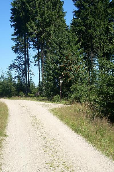 Rozcest� u �ern� Nisy