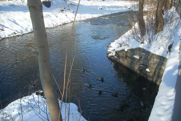 �ulovsk� potok se vl�v� do Nisy