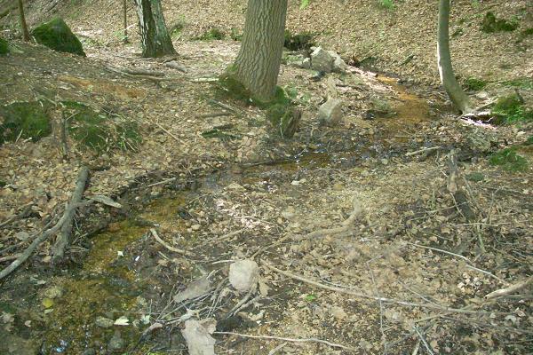 �ulovsk� potok - mal� pr�tok