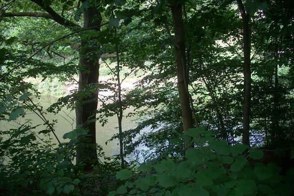 Sedl��k�v rybn�k