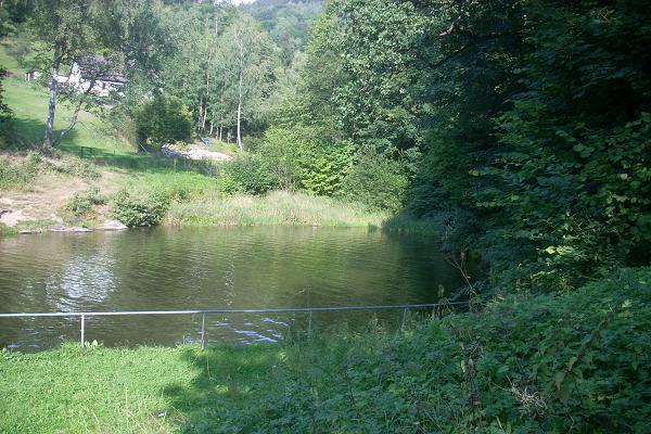 Sedl��k�v rybn�k