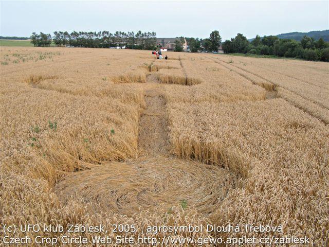 kruhy v obilí